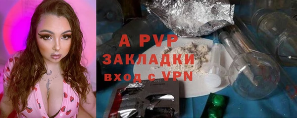 прущие грибы Сосновоборск