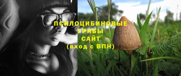 метадон Богородицк