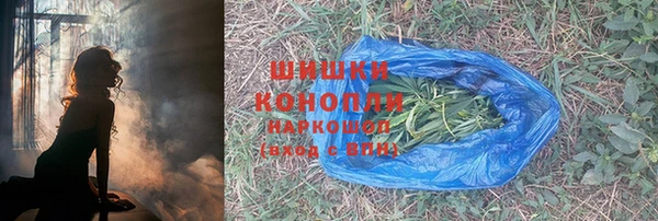 метадон Богородицк