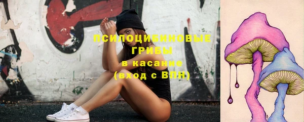 метадон Богородицк