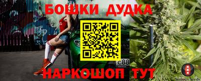 дживик Аша