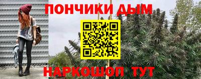 дживик Аша