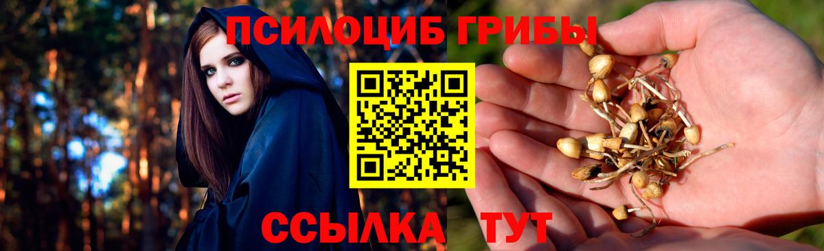 Псилоцибиновые грибы прущие грибы  Вход с VPN  Бузулук 