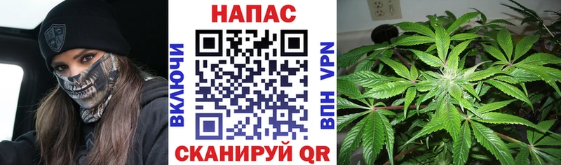 Конопля OG Kush  ОМГ ОМГ как зайти  Бузулук 